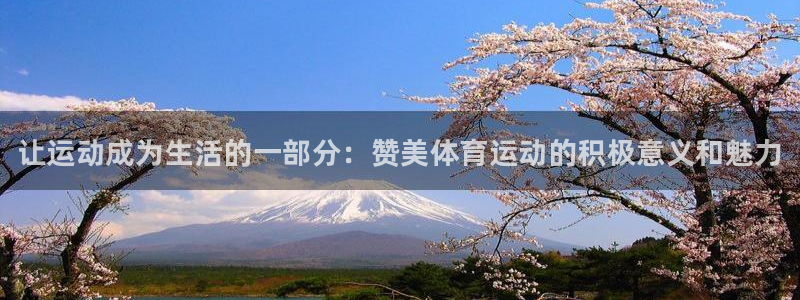 凯发官方正版app集团E.ON：让运动成为生活的一部