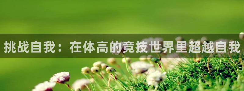 凯发官网下载平台注册要钱吗安全吗：挑战自我：在体高的