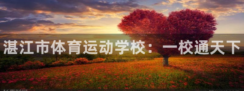凯发官方正版app集团：湛江市体育运动学校：一校通天