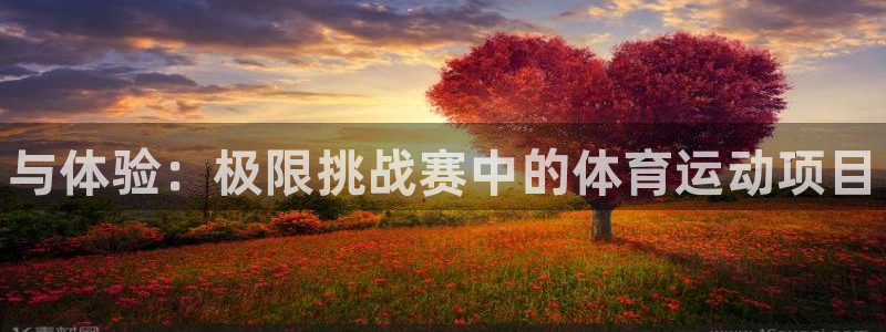 凯发官方正版app集团logo：与体验：极限挑战赛中