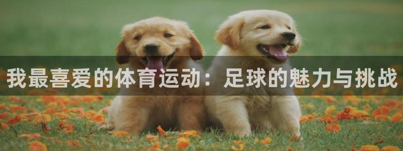 海南凯发官网下载发展怎么样：我最喜爱的体育运动：足球