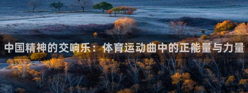 凯发官方正版app神州：中国精神的交响乐：体育运动曲