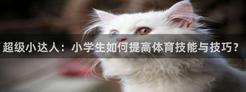 凯发官网下载招商电话地址：超级小达人：小学生如何提高