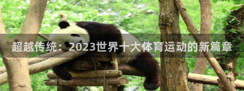 凯发官网下载招商电话地址：超越传统：2023世界十大