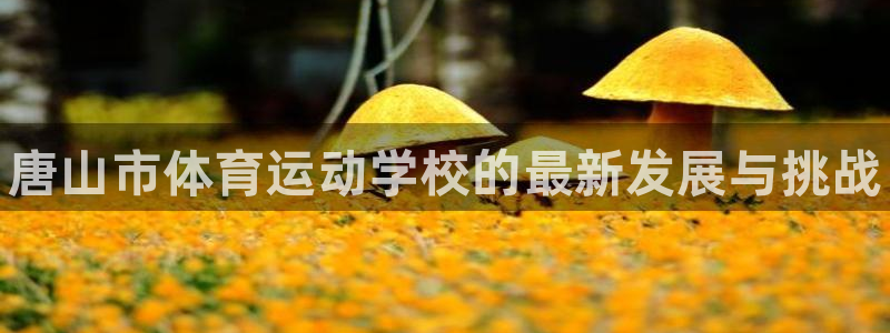 凯发官方正版app集团简介：唐山市体育运动学校的最新