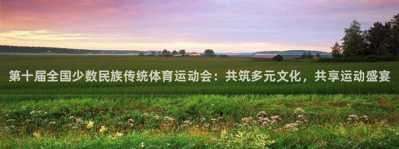 凯发官方平台体育：第十届全国少数民族传统体育运动会：