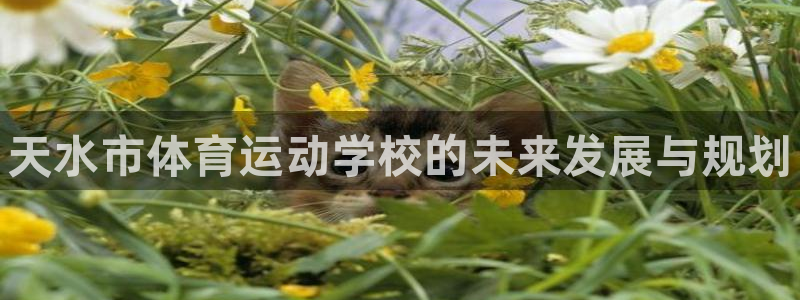 凯发官方正版app新能源：天水市体育运动学校的未来发