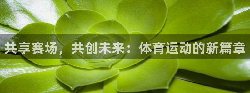 凯发官网下载联系电话：共享赛场，共创未来：体育运动的