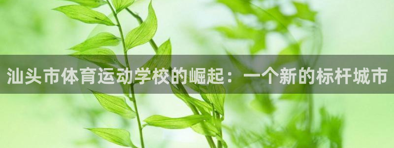 凯发官网下载招商电话：汕头市体育运动学校的崛起：一个