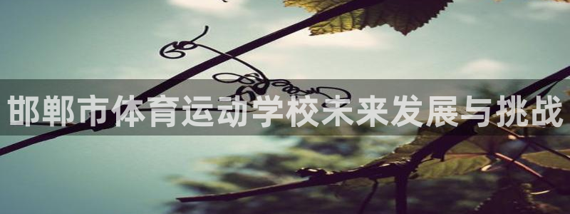 凯发官方正版app娱乐40996：邯郸市体育运动学校未来发展