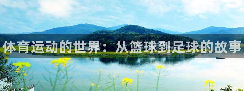 凯发官网下载平台：体育运动的世界：从篮球到足球的故事