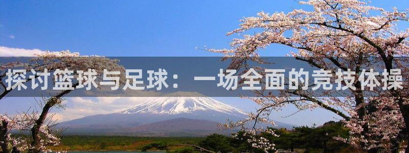 凯发官方正版app集团E.ON：探讨篮球与足球：一场全面的竞