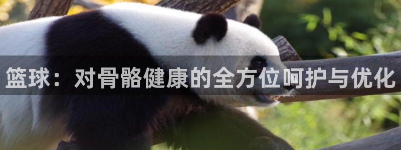 凯发官方集团官网：篮球：对骨骼健康的全方位呵护与优化