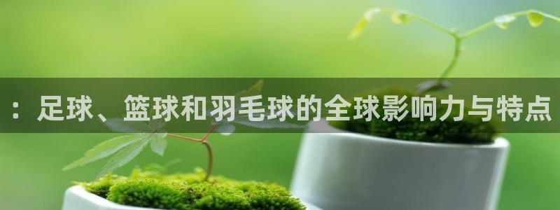 凯发官网下载平台注册要钱吗：：足球、篮球和羽毛球的全球影响力