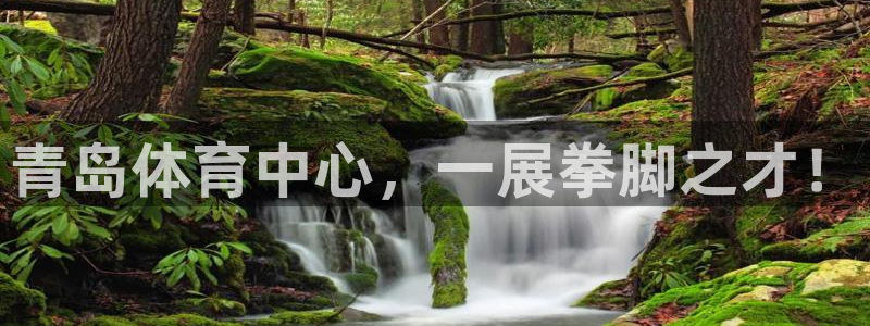 凯发官方正版app集团：青岛体育中心，一展拳脚之才！