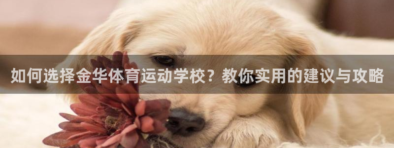 k8凯发集团电子游戏官网