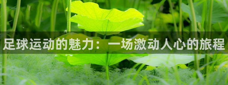 凯发k8娱乐真人旗舰厅