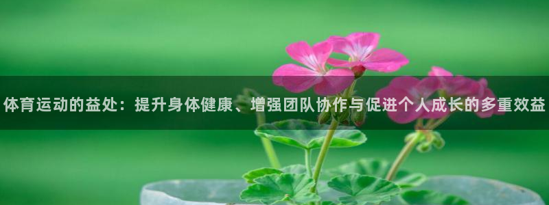 k8凯发被黑怎么办：体育运动的益处：