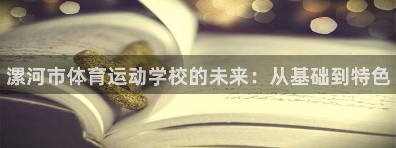 凯发k8官网下载苹果客户端：漯河市体