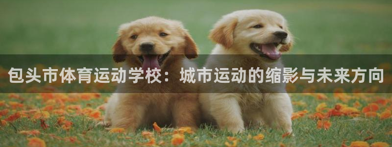 凯发这个平台怎么样：包头市体育运动学