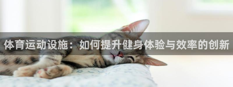 凯发k8旗舰厅ag：体育运动设施：如