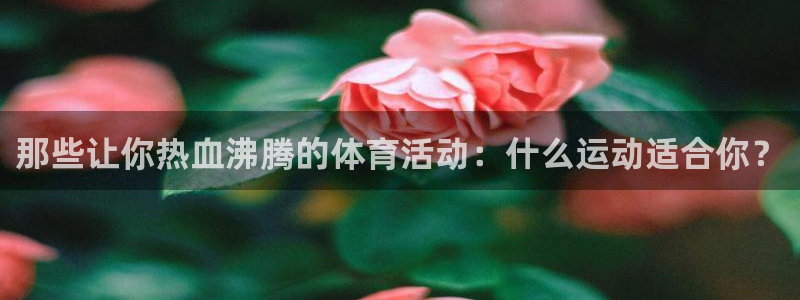 凯发k8天生赢家
