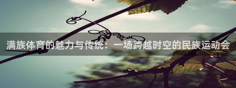 凯发k8国际版：满族体育的魅力与传统