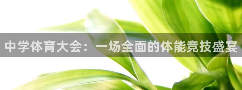 凯发注册网站：中学体育大会：一场全面