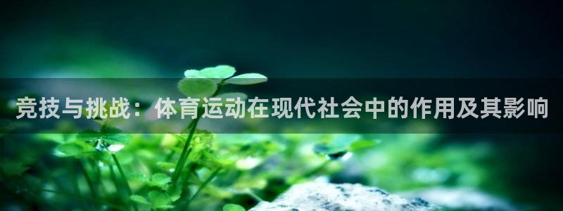 凯发官网下载：竞技与挑战：体育运动在