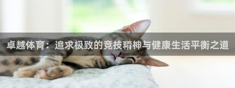 凯发在线官网：卓越体育：追求极致的竞
