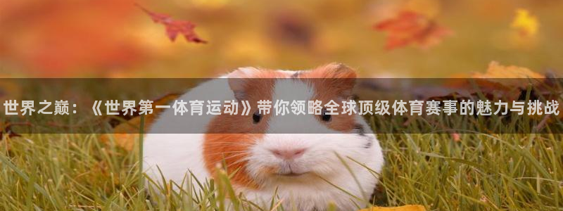  凯发k8 :ag85856：世界之巅：《世界第一体育运动》带