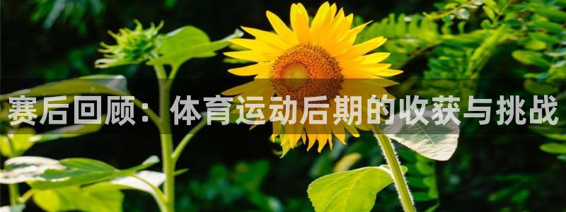 K8凯发官方网站：赛后回顾：体育运动