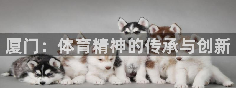 k8凯发官方找就送38：厦门：体育精
