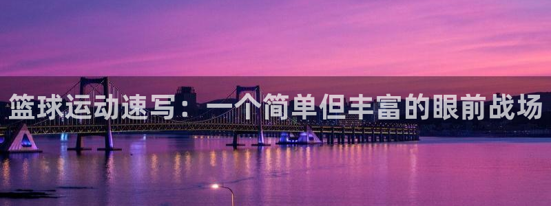  凯发k8ag旗舰厅真人版：篮球运动速写：一个简单但丰富的眼前